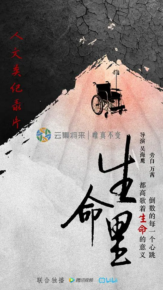 《生命里》：一段关于爱与失去的青春乐章，触动你内心最柔软的地方