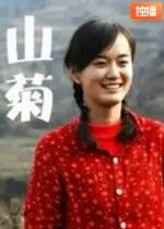 《山菊》：大山深处的救赎与挣扎，看乡村女性如何谱写命运之歌！