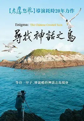 《寻找神话之岛》：一场波澜壮阔的寻宝之旅，揭秘尘封的历史传说