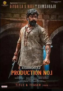 家族命运之战 海报