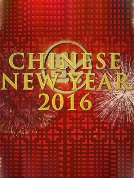《中国新年：全球最大庆典》：这场音乐的狂欢，看完不嗨翻天？带你穿越时空，感受最燃的中国年！